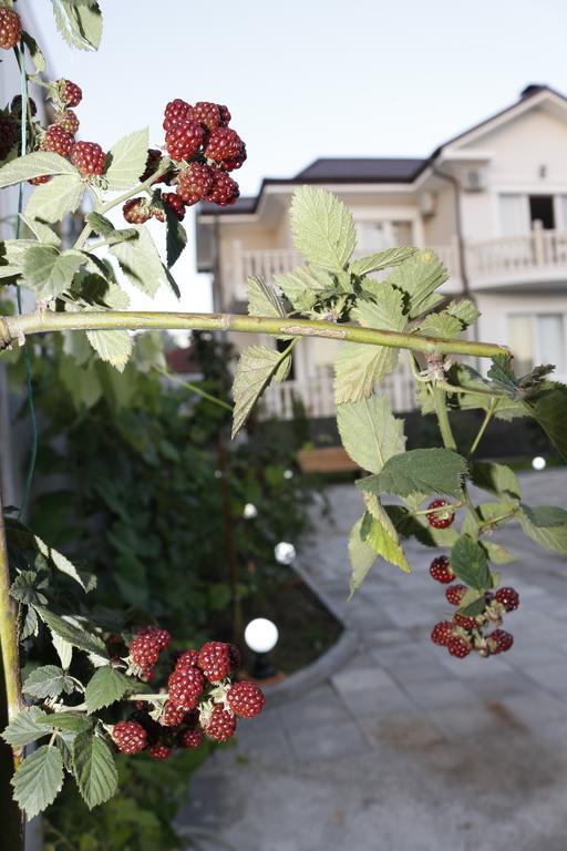 Guest House Sofia Kobuleti Exterior photo